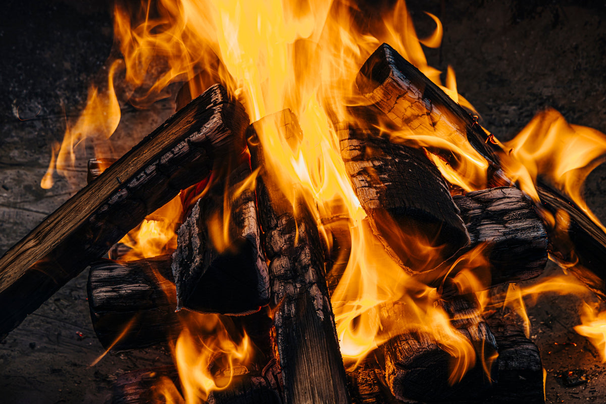 Best Firewood for a Wood Stove or Fireplace Insert
